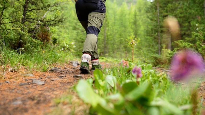 Переел шашлыка на майские: как помочь желудку и что делать? Техники без лекарств. Фото&nbsp;©&nbsp;Shutterstock / FOTODOM / avtk