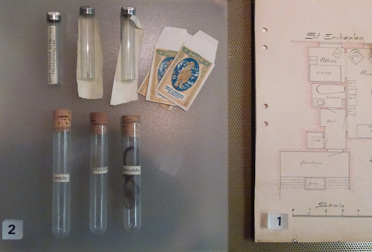 Улики с места преступления в деле Атласского вампира: что нашла полиция и какая основаная версия? Фото © Wikipedia / Holger.Ellgaard