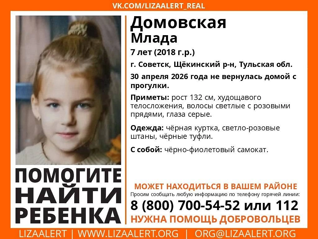 В Тульской области пропала семилетняя девочка. Фото © Telegram / ДПСО «ЛизаАлерт» Тульской области 