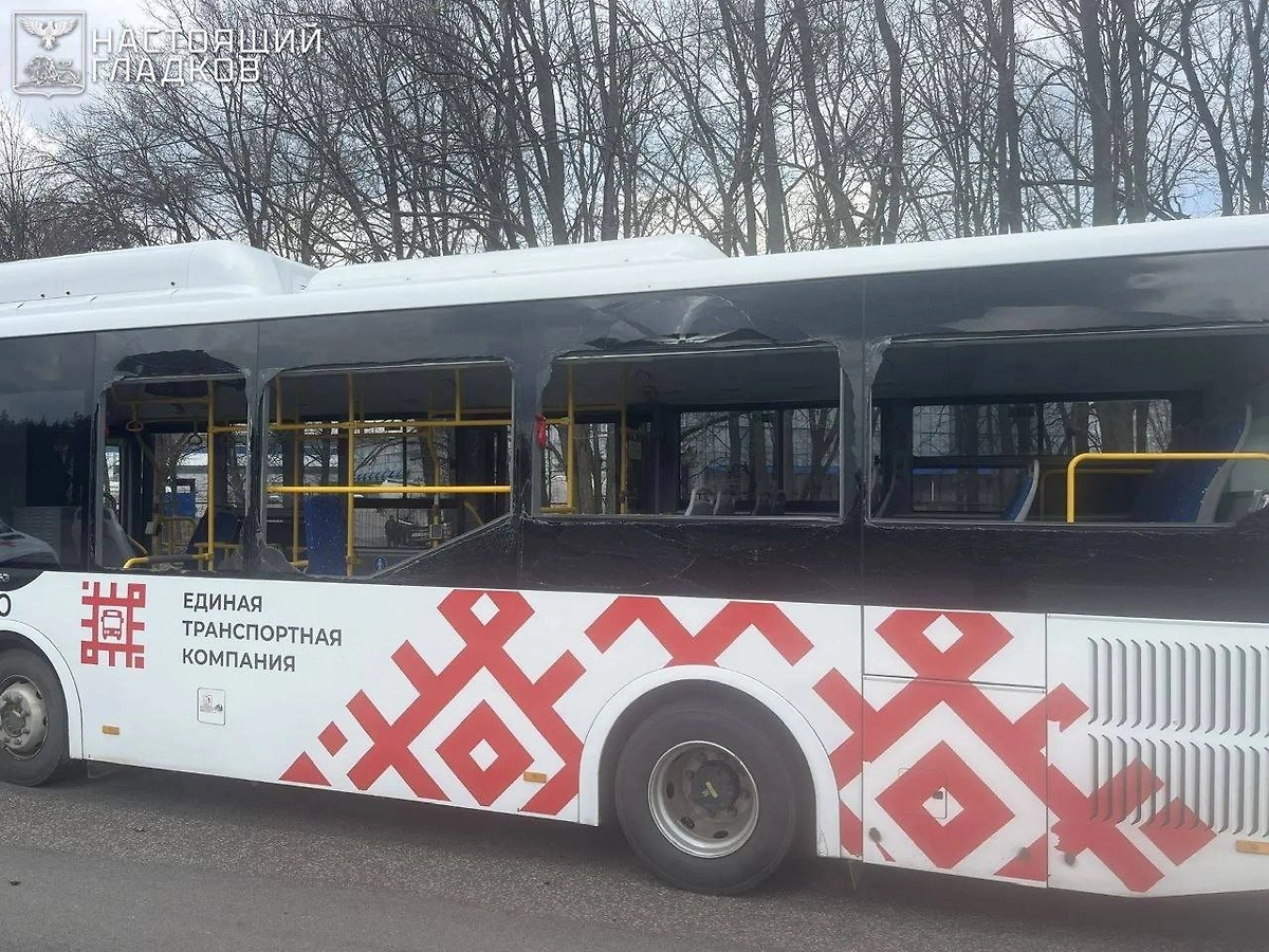 Обложка © Настоящий Гладков