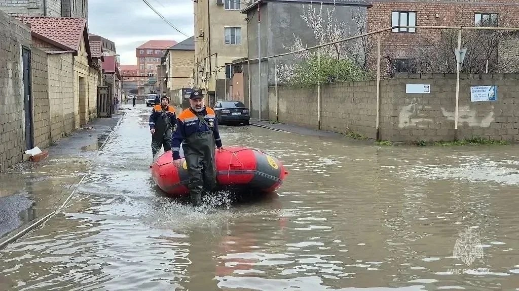 Обложка © Telegram / Главное управление МЧС России по Республике Дагестан