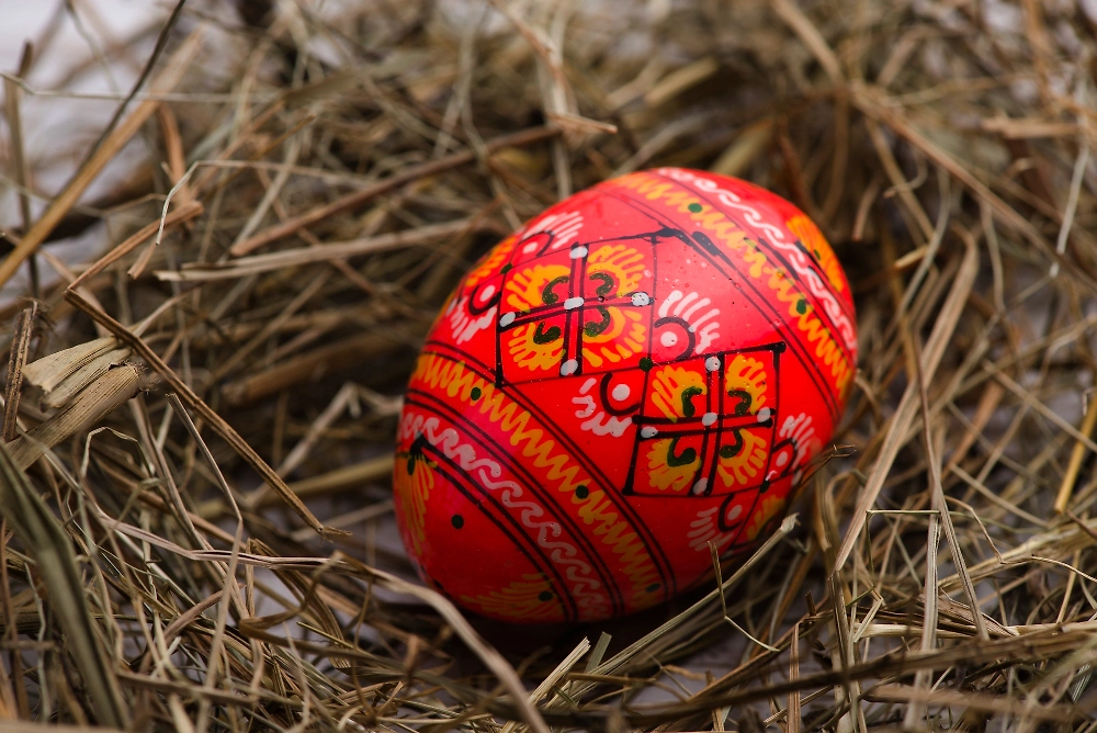 Обложка © Freepik