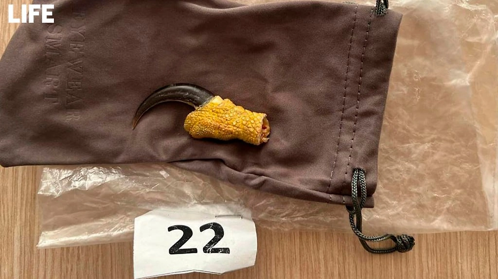 Фото © ФТС/ Life.ru