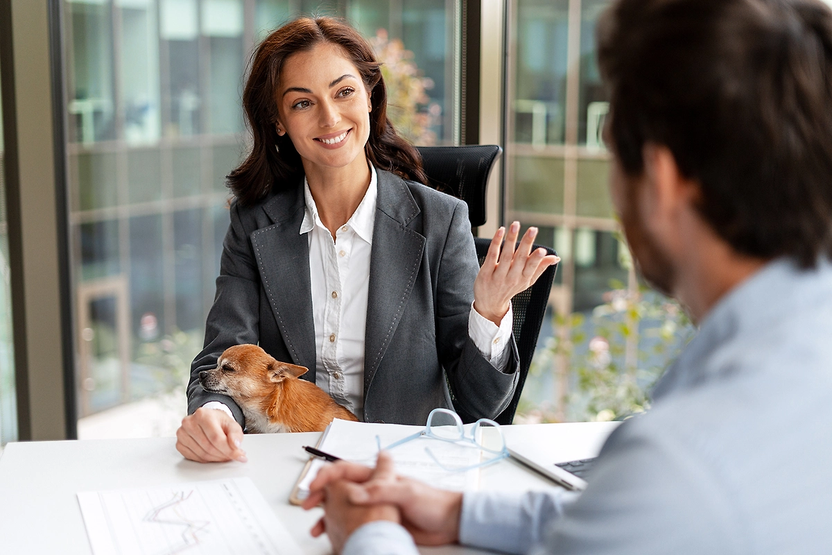 Как попросить начальника разрешить брать питомца на работу. Фото © Shutterstock / FOTODOM / AYO Production