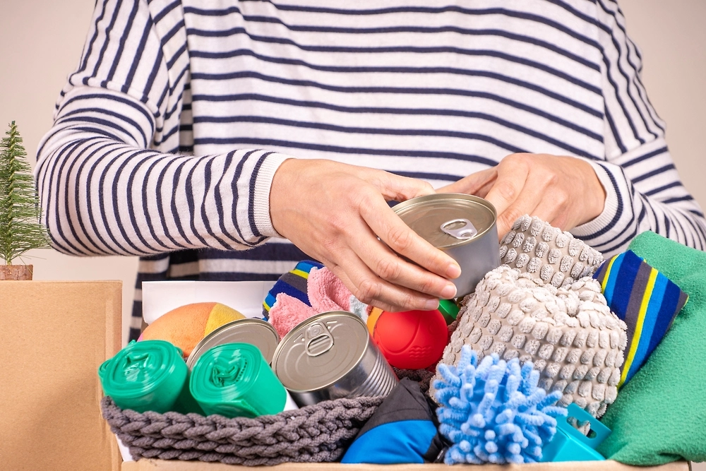 Что взять с собой: лежанка, миски и игрушки для питомца. Фото © Shutterstock / FOTODOM / Veja