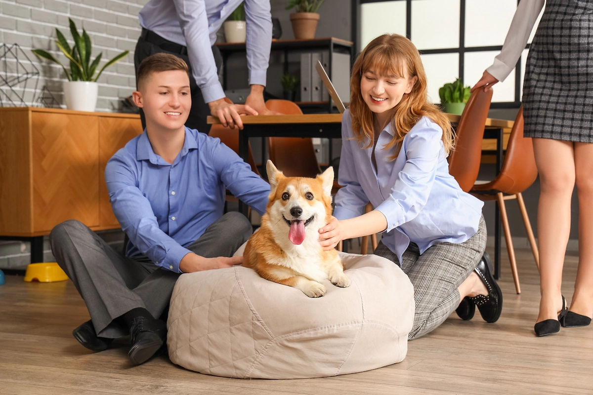 Как подготовить собаку к офису: вакцинация и социализация. Фото © Shutterstock / FOTODOM / Pixel-Shot