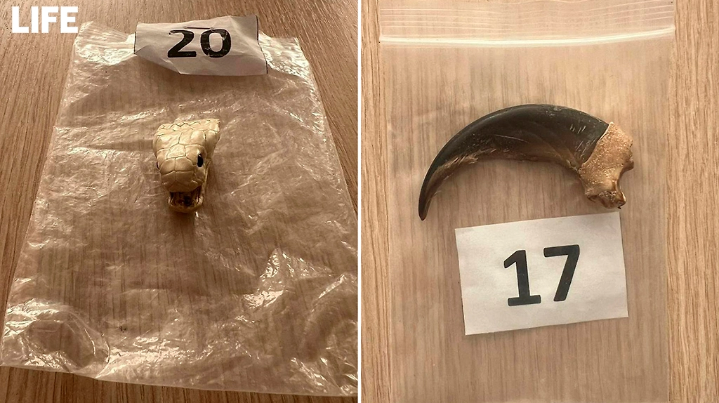 Фото © ФТС/ Life.ru