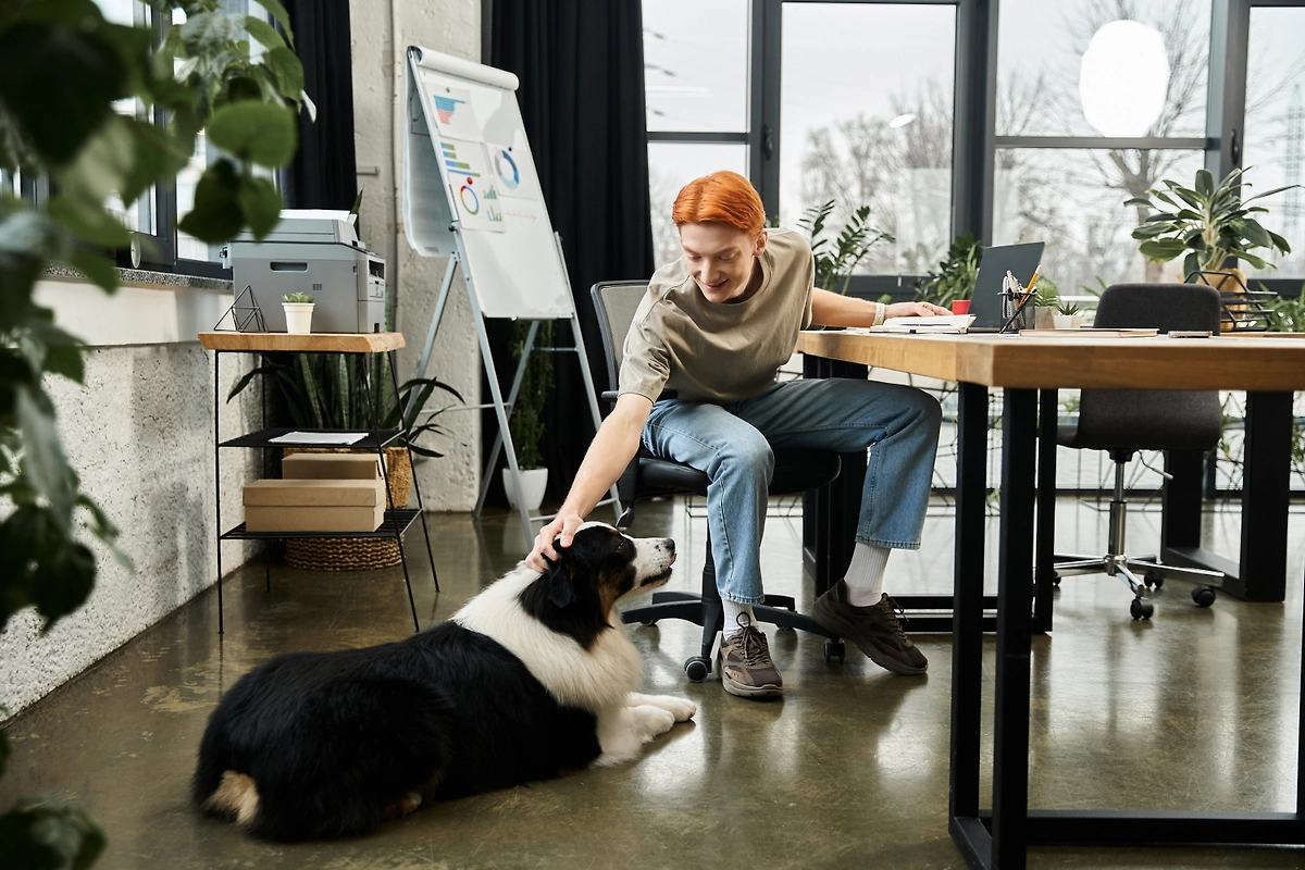 Животные на работе снижают стресс и улучшают атмосферу. Фото © Shutterstock / FOTODOM / LightField Studios