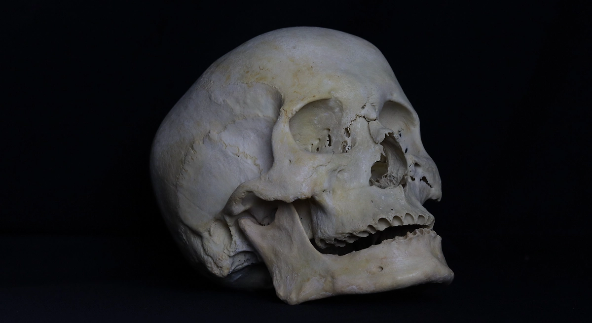 Что случилось с черепом Гоголя? Кто и когда его украл? Фото ©&nbsp;Wikipedia / Wasiul Bahar