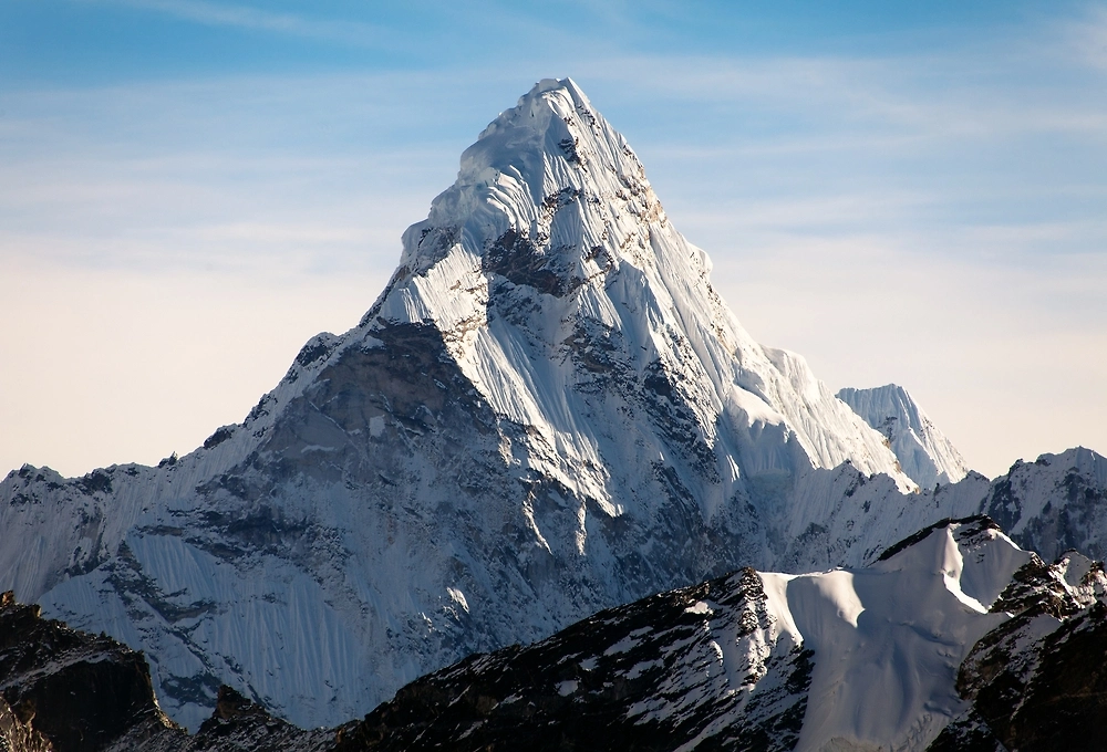 Обложка © Shutterstock / FOTODOM / Daniel Prudek