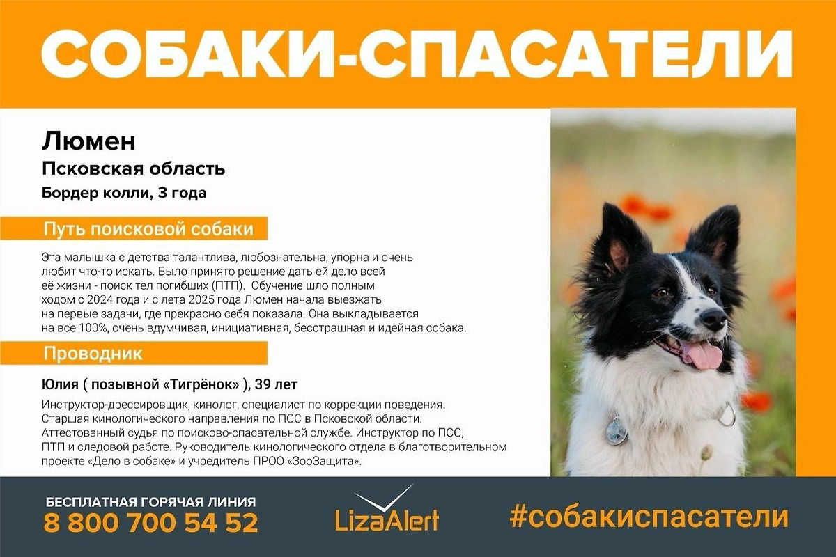 Фото © «ЛизаАлерт»