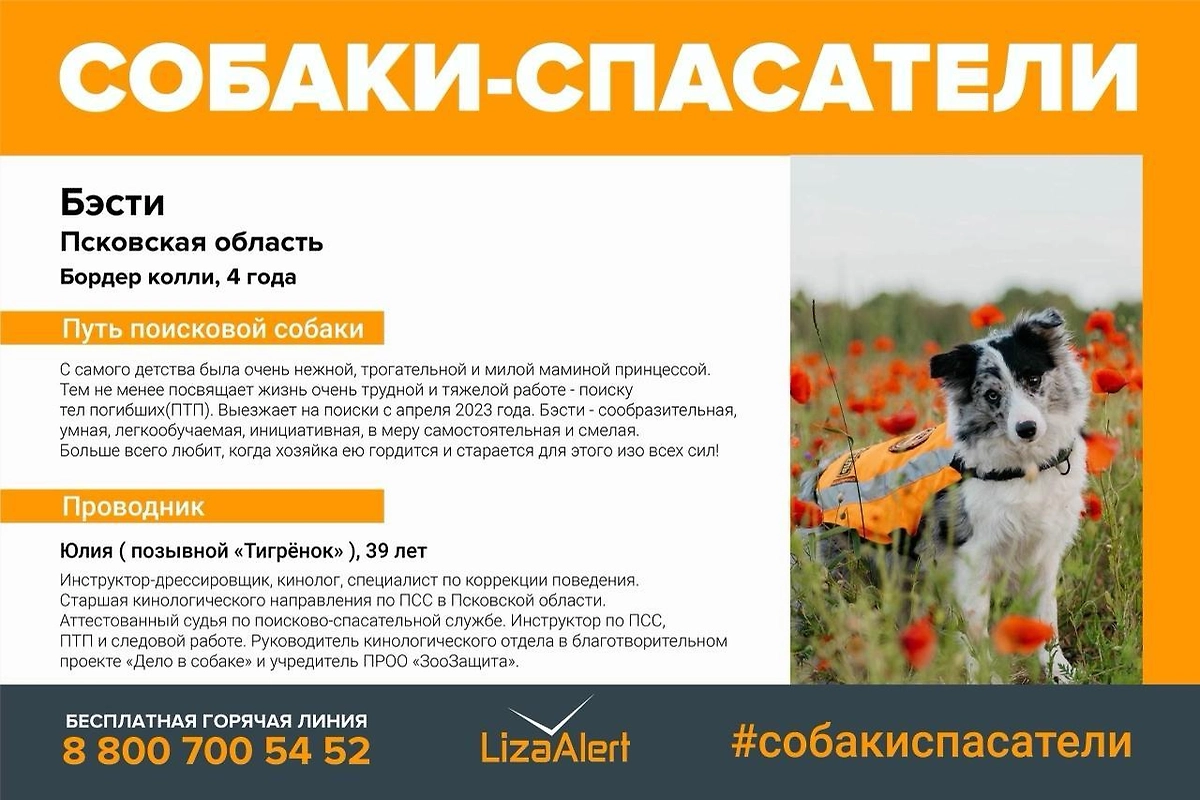 Фото © «ЛизаАлерт»