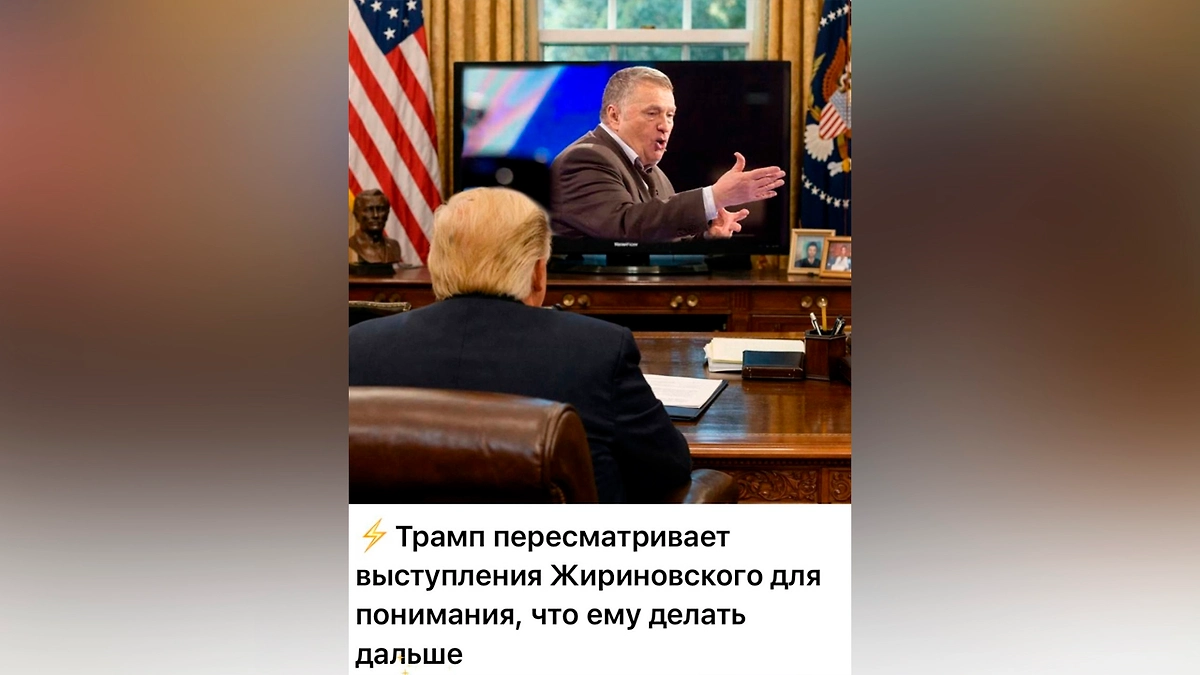 Мем о Трампе и Жириновском. Фото © Вероника Аникиевич