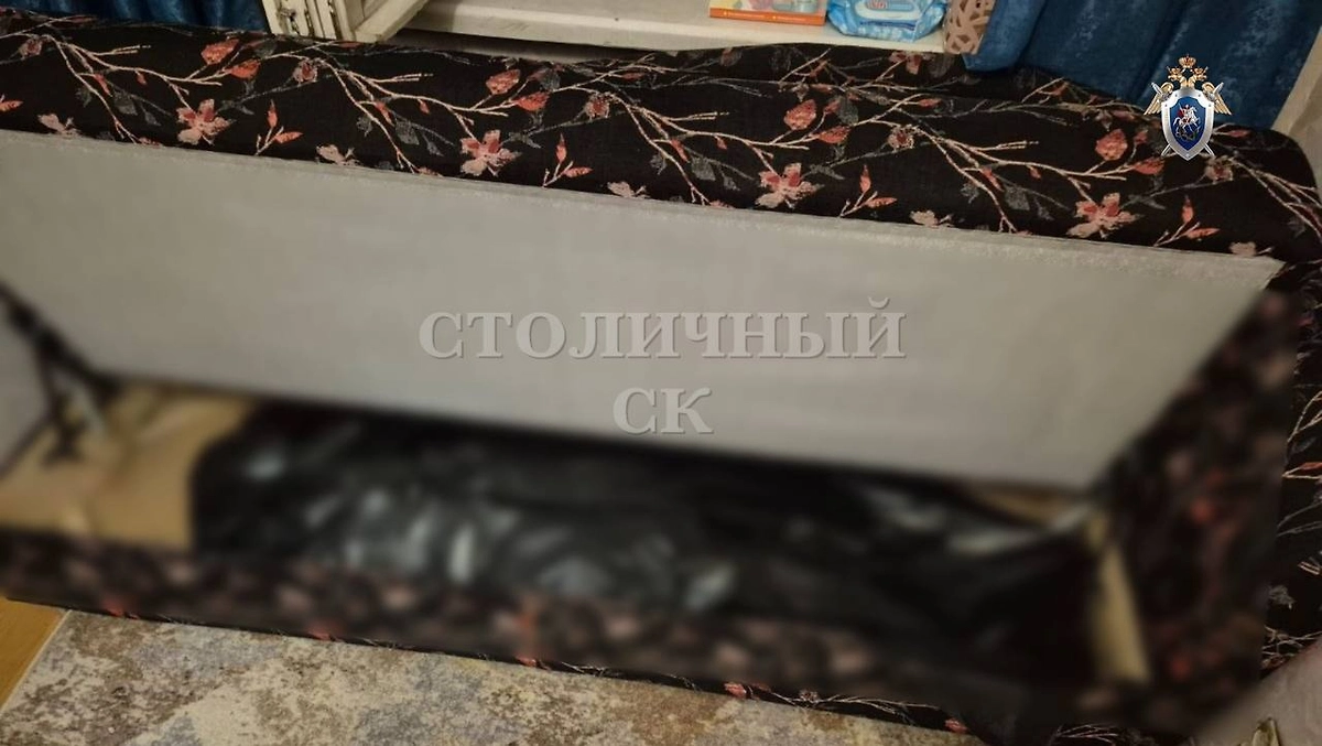 Тело москвички нашли спрятанным в диване. Фото © Telegram/ Столичный СК