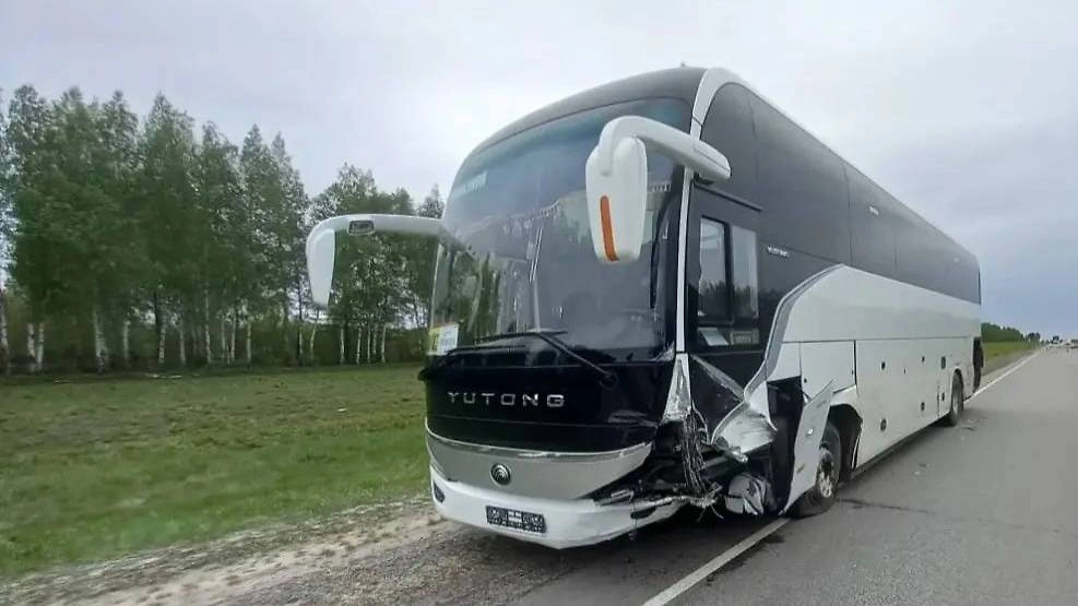 Мужчина и трое детей пострадали в ДТП с автобусом в Пензенской области. Фото © Telegram / Госавтоинспекция Пензенской области