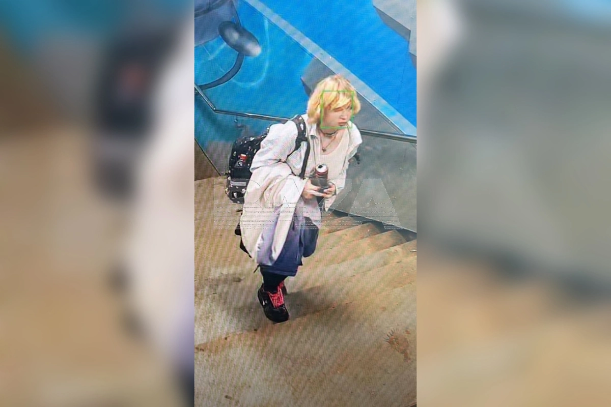 В Обнинске третьи сутки ищут 14-летнюю школьницу Анну Доброскину, пропавшую по дороге домой. Фото © Telegram / Baza