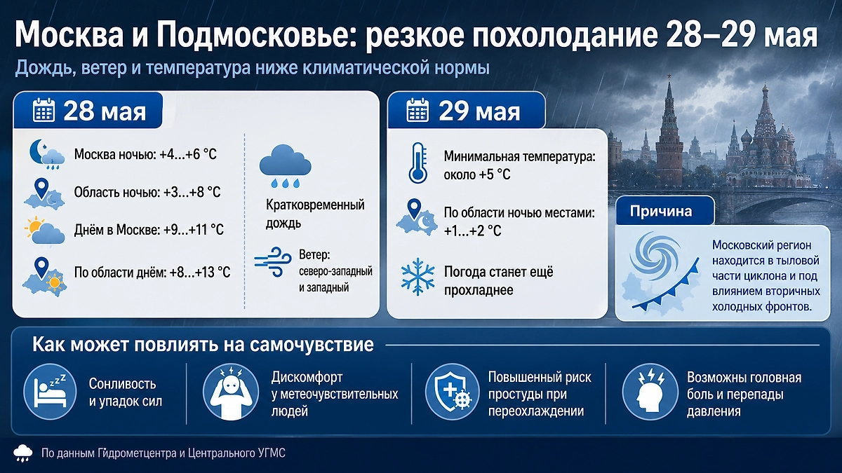 Погода в Москве и Московской области на 28-29 мая: данные Гидрометцентра и Центрального УГМС. Фото © ChatGPT / Софья Кузнецова 
