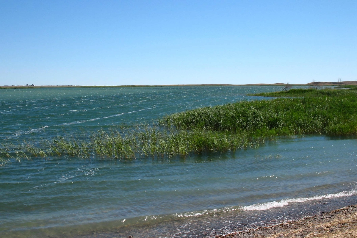 Озеро Балхаш в Казахстане: редкий водоём с пресной и солёной водой. Фото © Wikipedia / Nikolay Yushnikov
