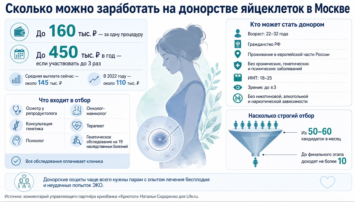 Инфографика © Life.ru