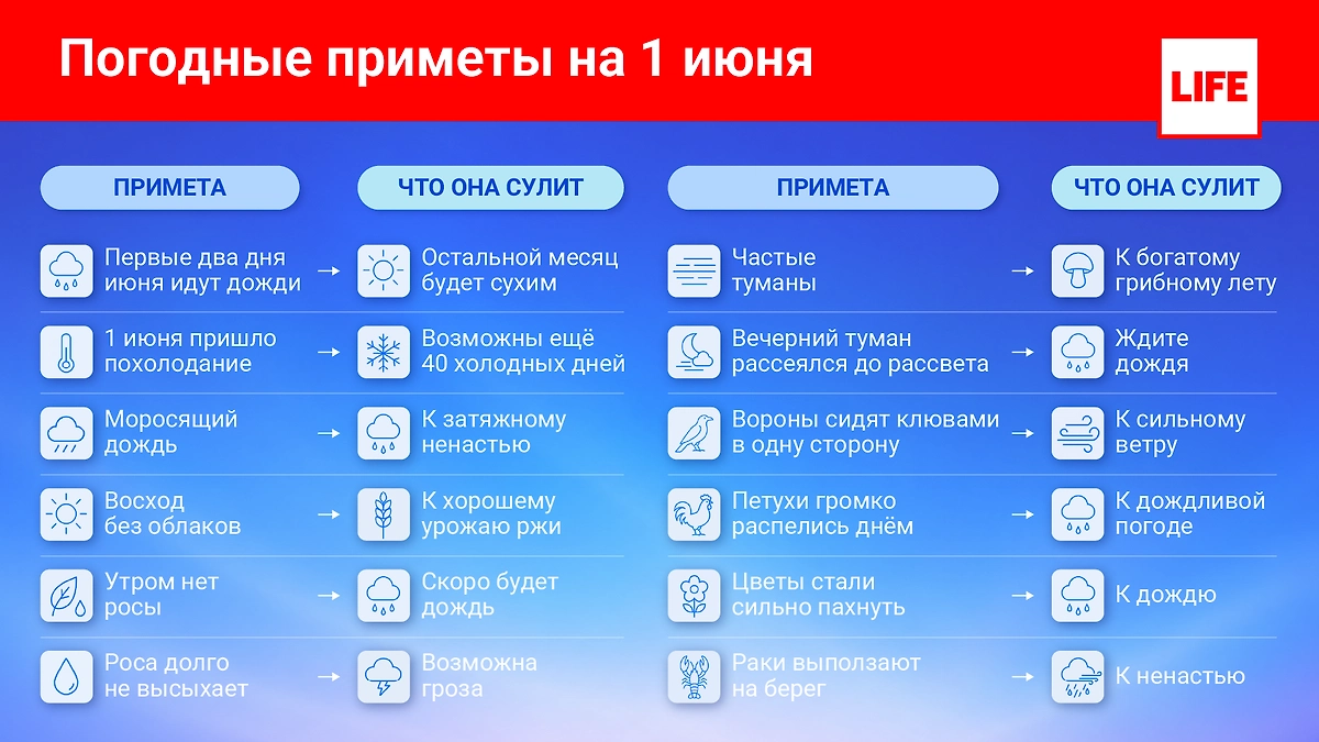 Народные приметы на 1 июня 2026 года: что сулит дождь и туман. Фото © Life.ru
