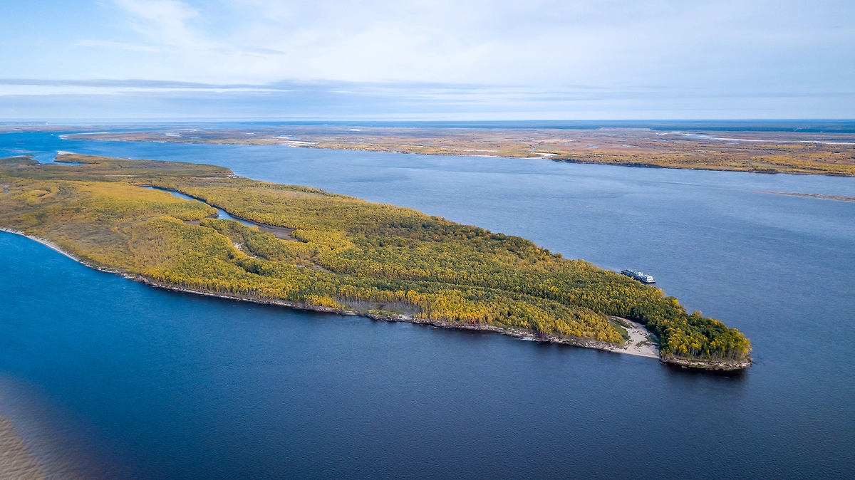 Обложка © Shutterstock / FOTODOM / Oleg Chudnikov
