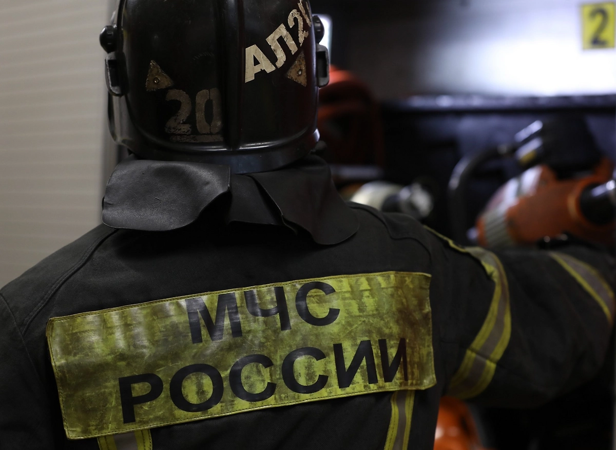 Обложка © Life.ru