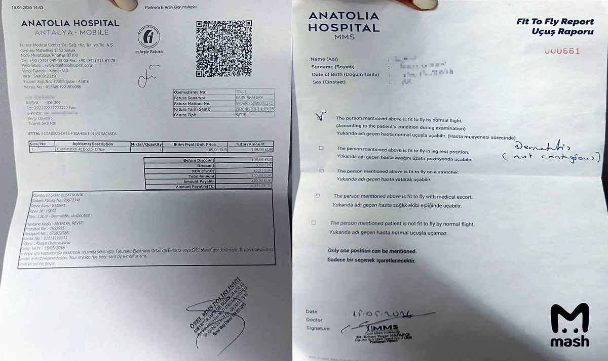 Россиян разводят на деньги в аэропортах Турции из-за укусов комаров. Фото © Telegram / Mash