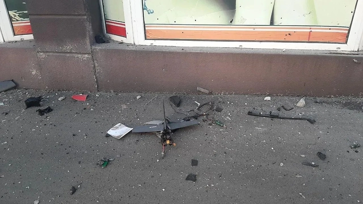 Обложка © Telegram / Леонид Пасечник