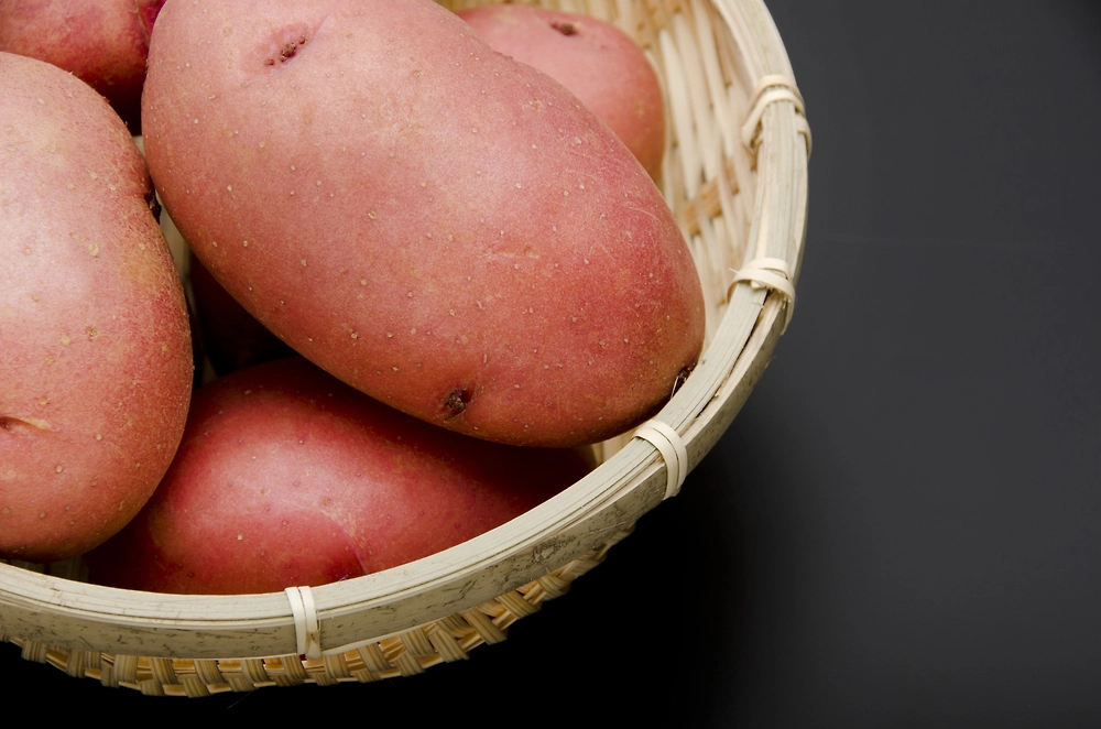 Какие сорта картофеля быстрее созревают. Фото © Shutterstock / FOTODOM / kariphoto