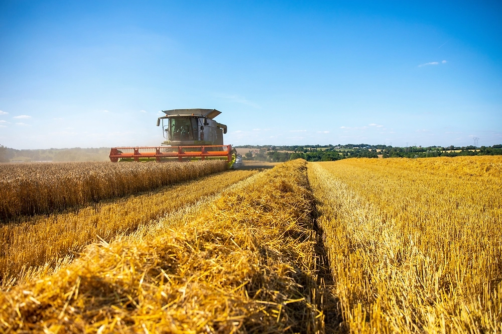 Народные приметы на урожай на День святого Георгия. Фото © Shutterstock / FOTODOM / Labellepatine