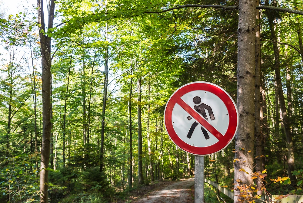 Какие ограничения при противопожарном режиме в лесах. Фото ©&nbsp;Shutterstock / FOTODOM / fon thachakul