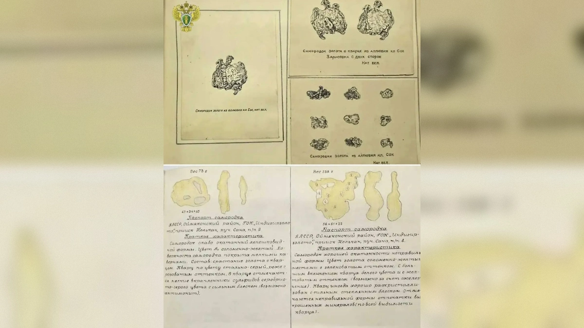 Прокуратура Якутии вернула государству 10,7 кг золота через суд. Фото © Telegram / Генпрокуратура России 