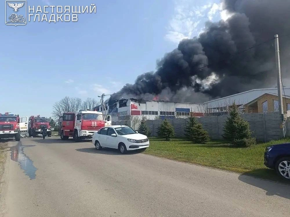 Фото © Telegram/Настоящий Гладков