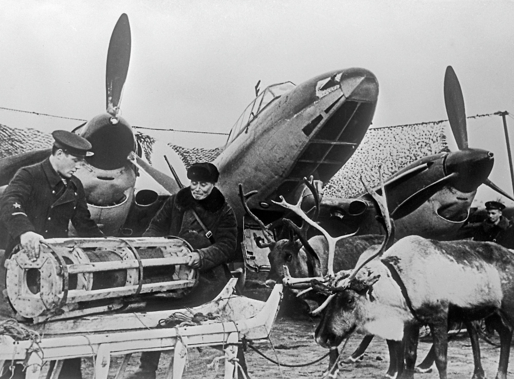 Как оленеводы и олени воевали на Карельском фронте в 1941–1945 годах. Фото © РИА Новости / Евгений Халдей