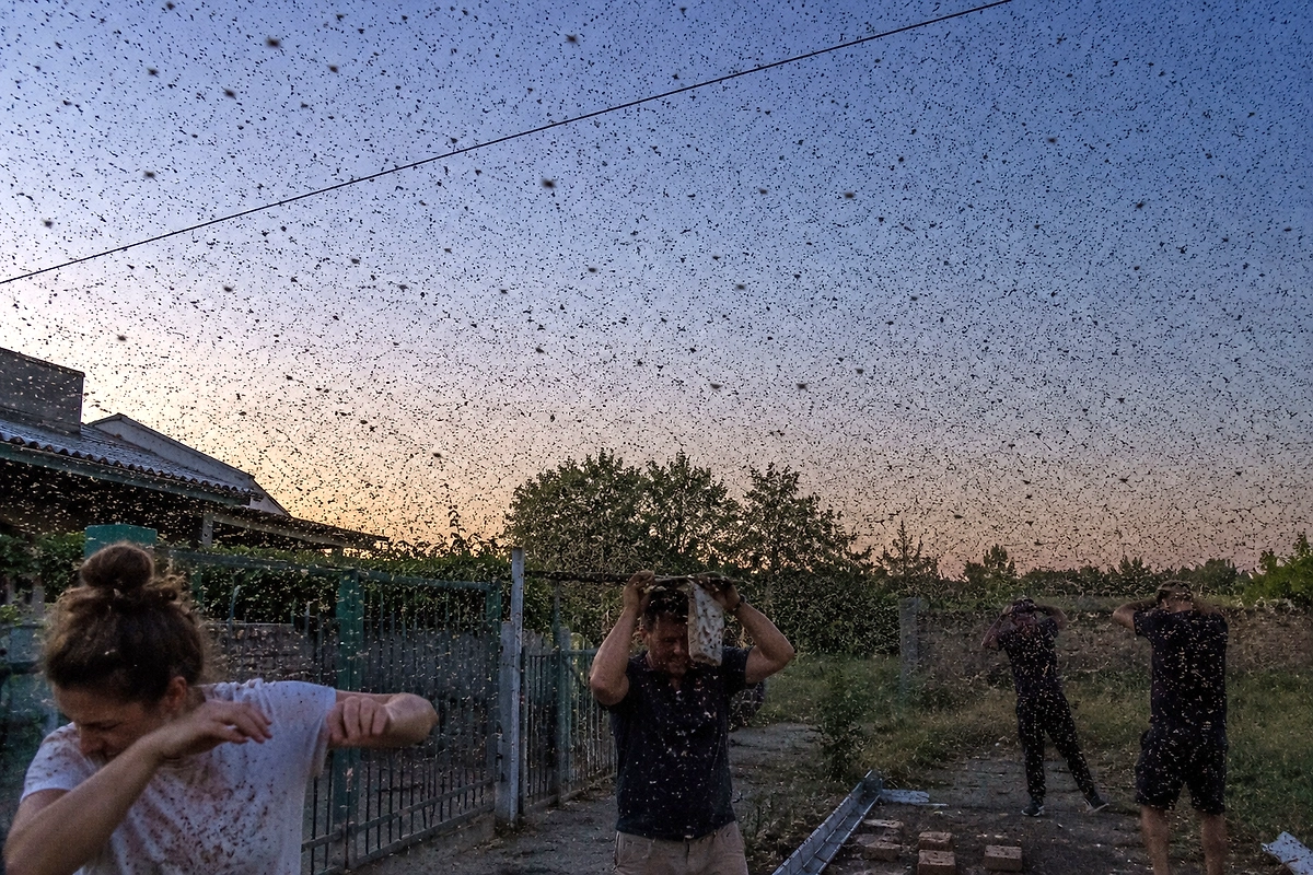 Обложка © Life.ru / ChatGPT