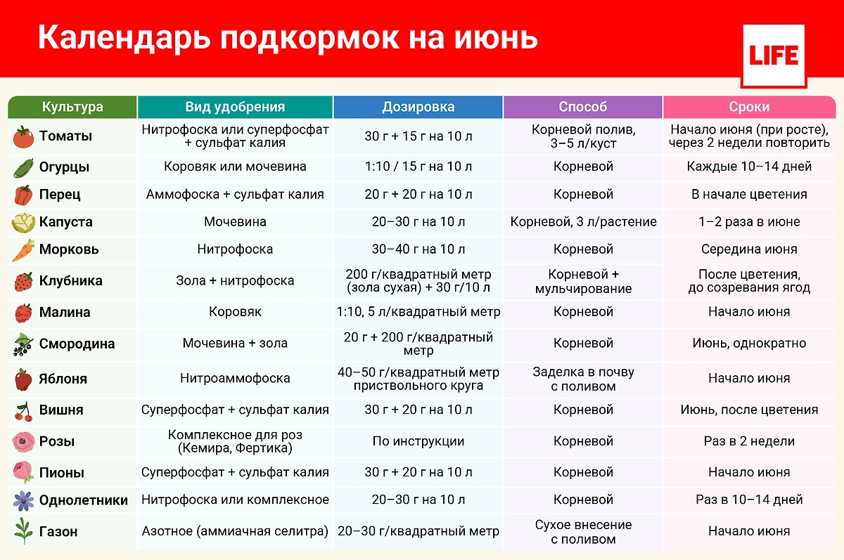 Календарь подкормок растений на июнь 2026. Фото © Life.ru