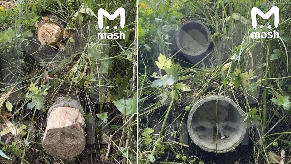 Трубы на участке Ларисы Долиной забили деревяшками и залили пеной. Фото © Telegram / Mash