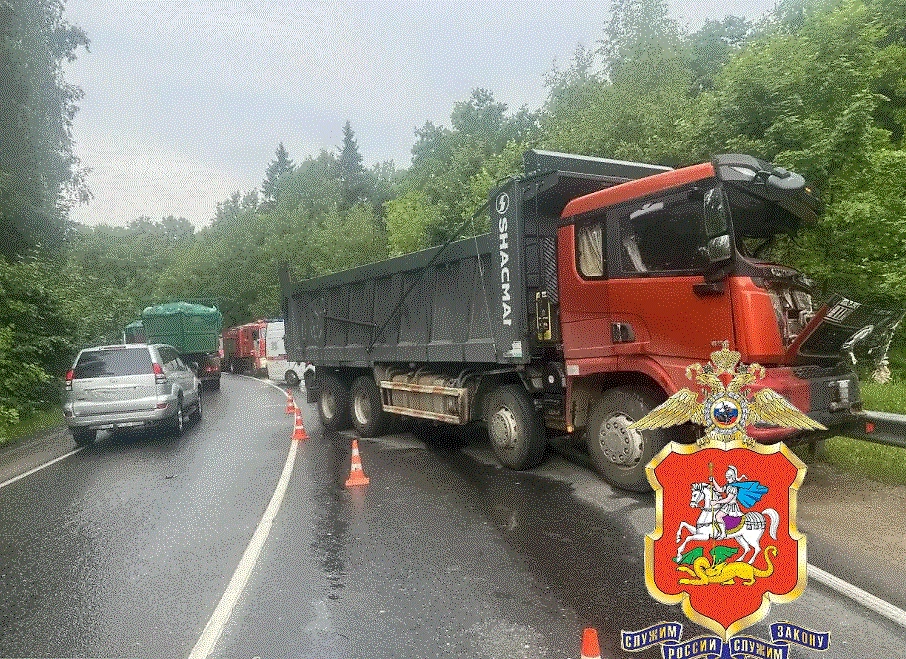 Обложка © Max / Подмосковная полиция