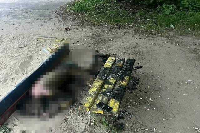 Фото © Telegram / ГУ МЧС России по Нижегородской области
