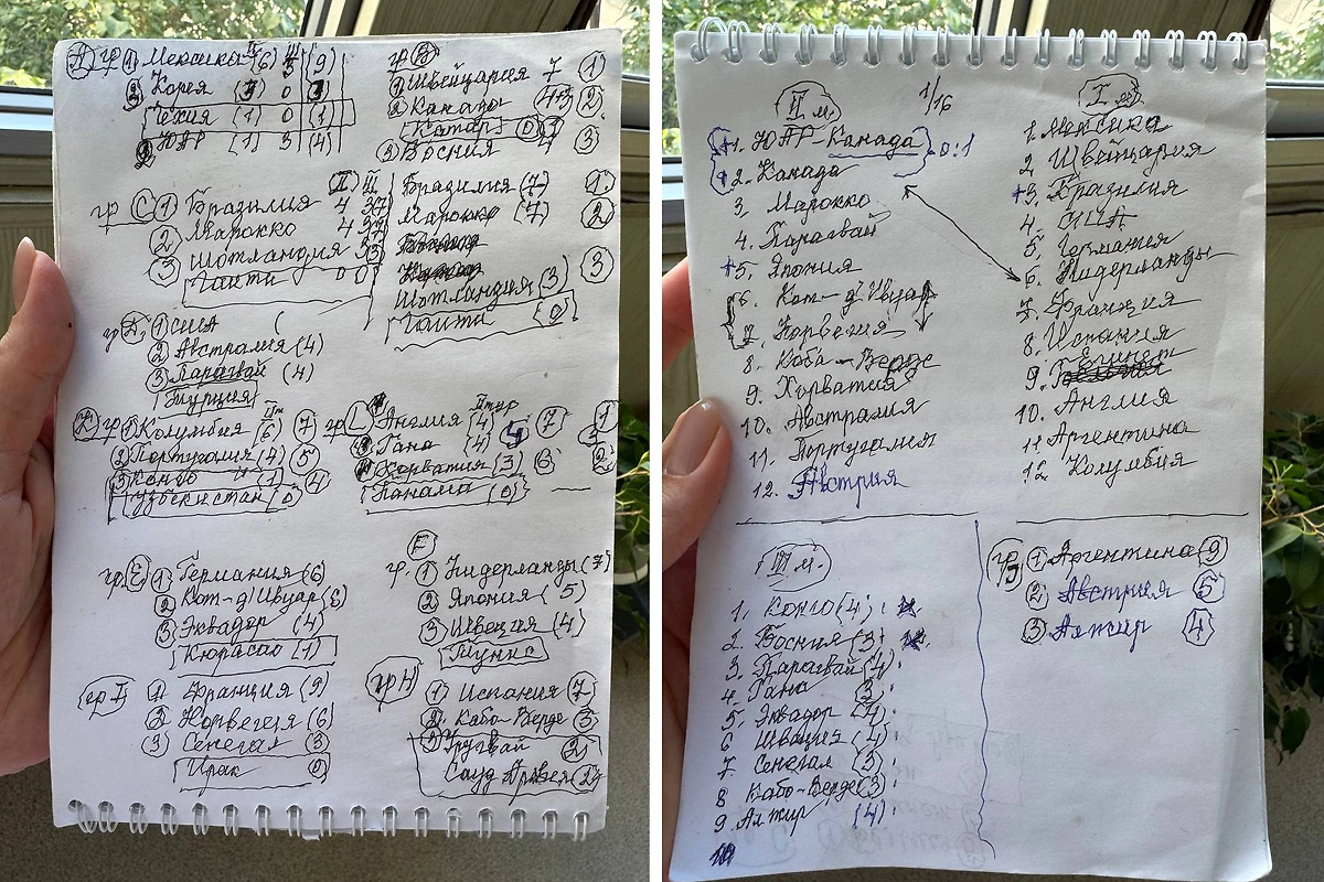 Ольга Парфенюк показала, как её 73-летняя тётя следит за ЧМ. Фото © Telegram/ СКЕТЧУП