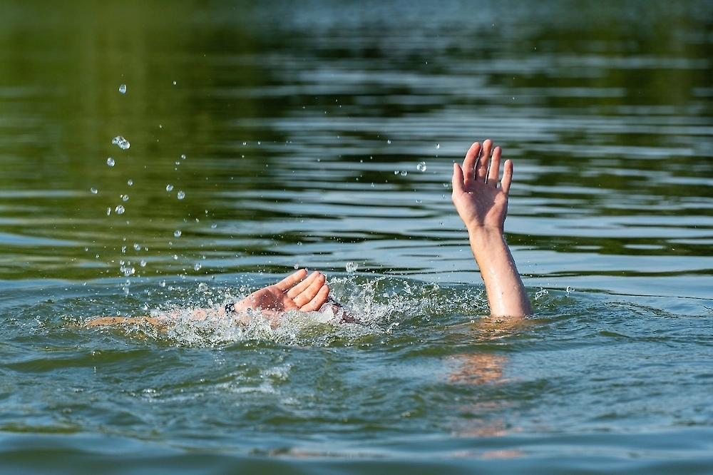 Обложка © Shutterstock / FOTODOM / Afanasiev Andrii