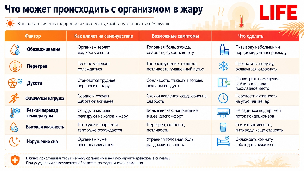 Что происходит с организмом в жару: симптомы и их причины. Фото © ChatGPT / Софья Кузнецова