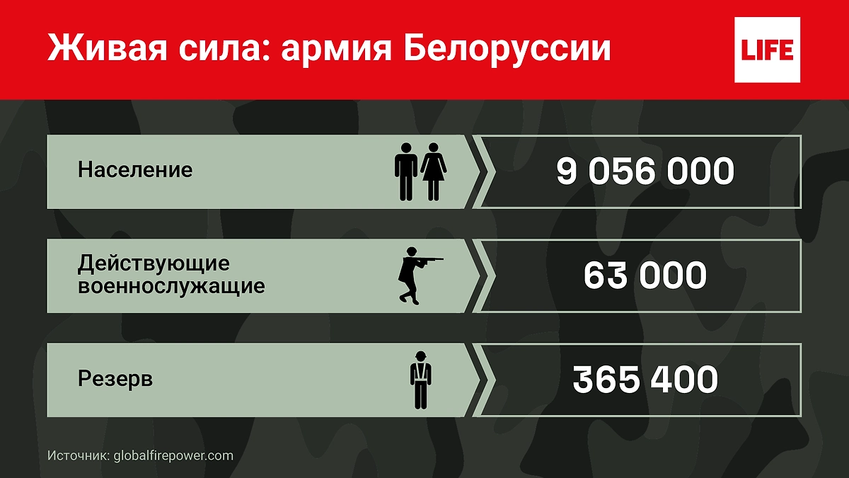 Личный состав ВС РБ. Инфографика © Life.ru