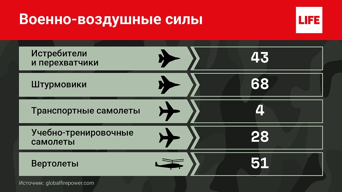 Авиация Белоруссии. Инфографика © Life.ru