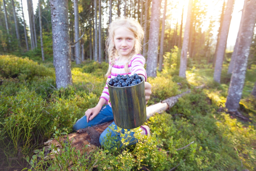 Обложка © Shutterstock / FOTODOM / Mostovyi Sergii Igorevich