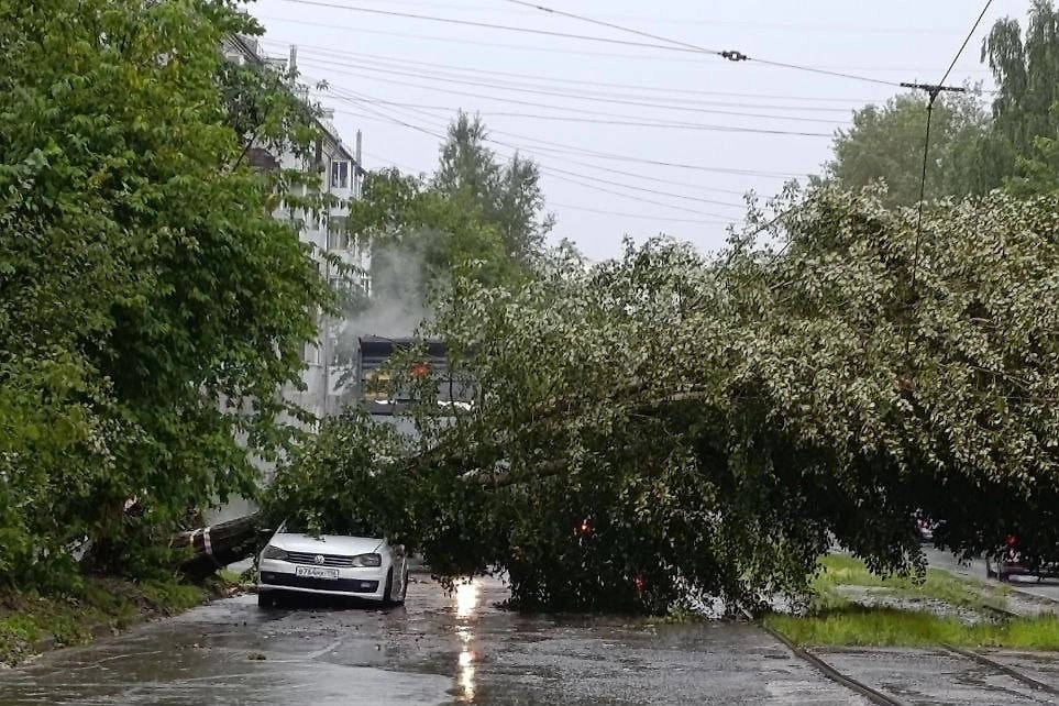 Обложка © Telegram/ E1.ru | Новости Екатеринбурга