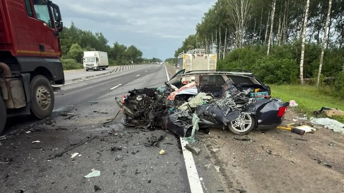 Обложка © Telegram / Подмосковная полиция