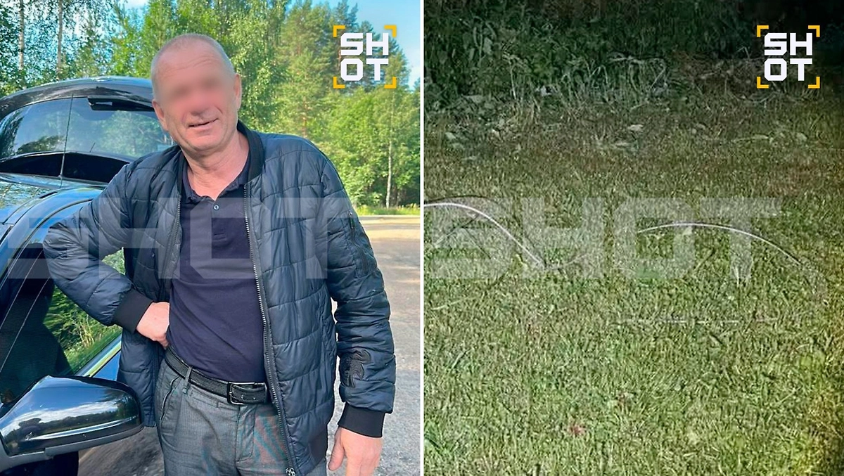 В Тверской области мужчину убило упавшим после урагана проводом. Фото © Telegram / SHOT