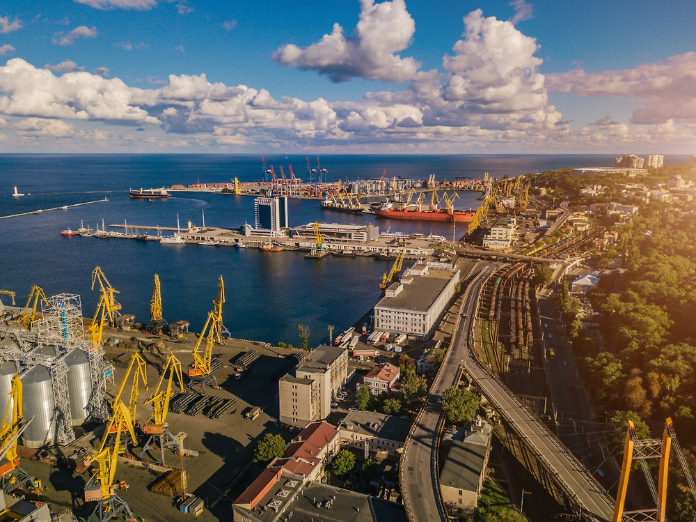 Обложка © Shutterstock / FOTODOM / Iryna Kalamurza