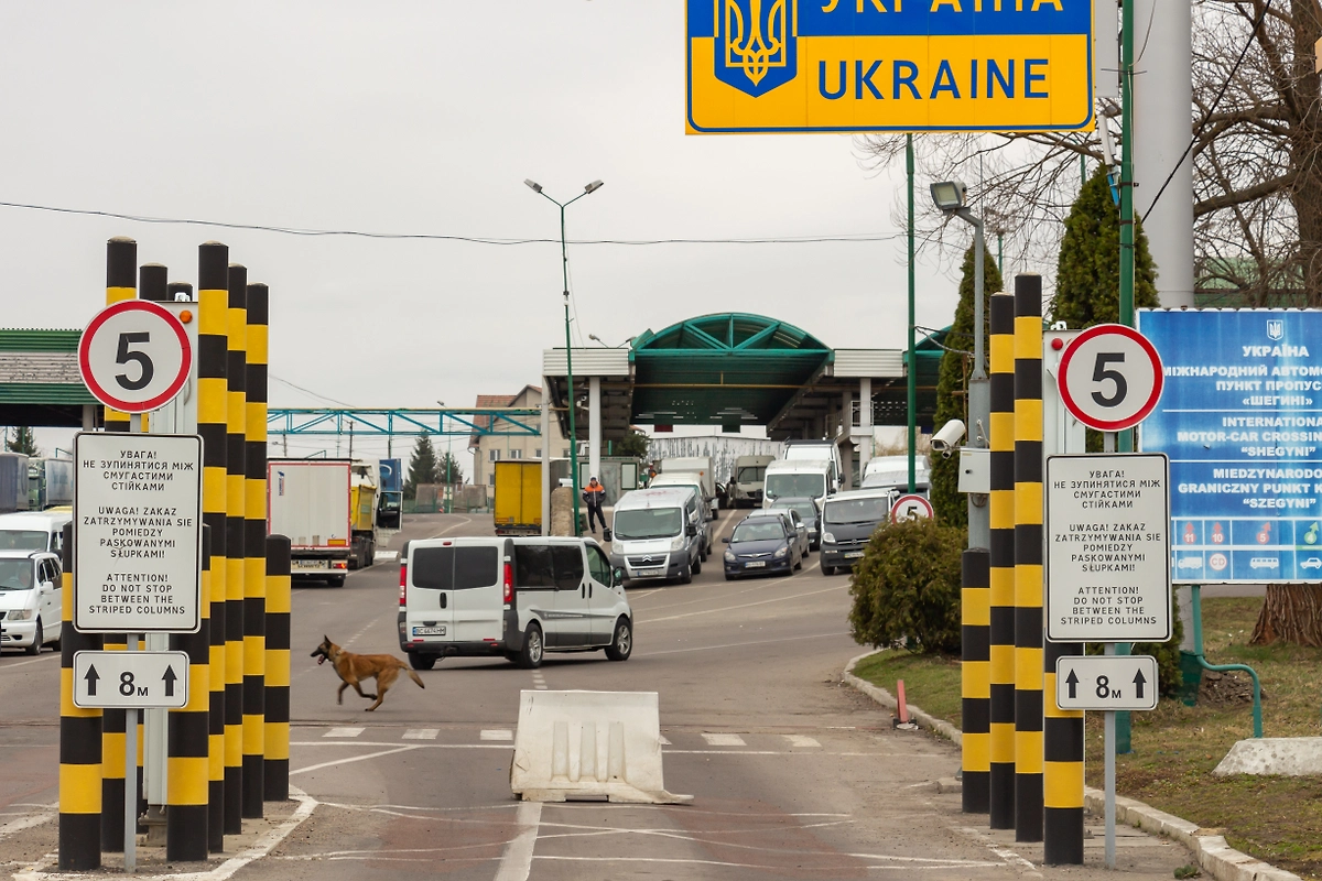 Обложка © Shutterstock / FOTODOM / Ivan Semenovych